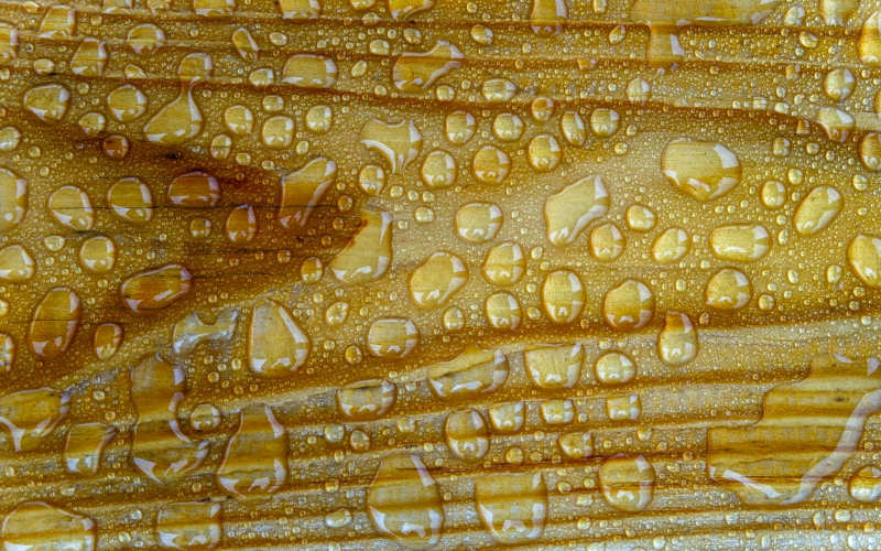 How to Shellac Wood