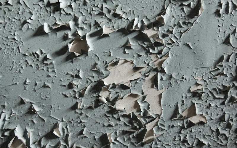 Why Your Freshly Painted Walls Are Peeling Within Months and the Prep Mistakes Behind It